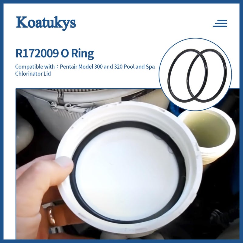 Koatukys R172009 O-Ring for Pentair Model 300/320 Pool and Spa Chlorinator Lid (2/Pack) - Image 5
